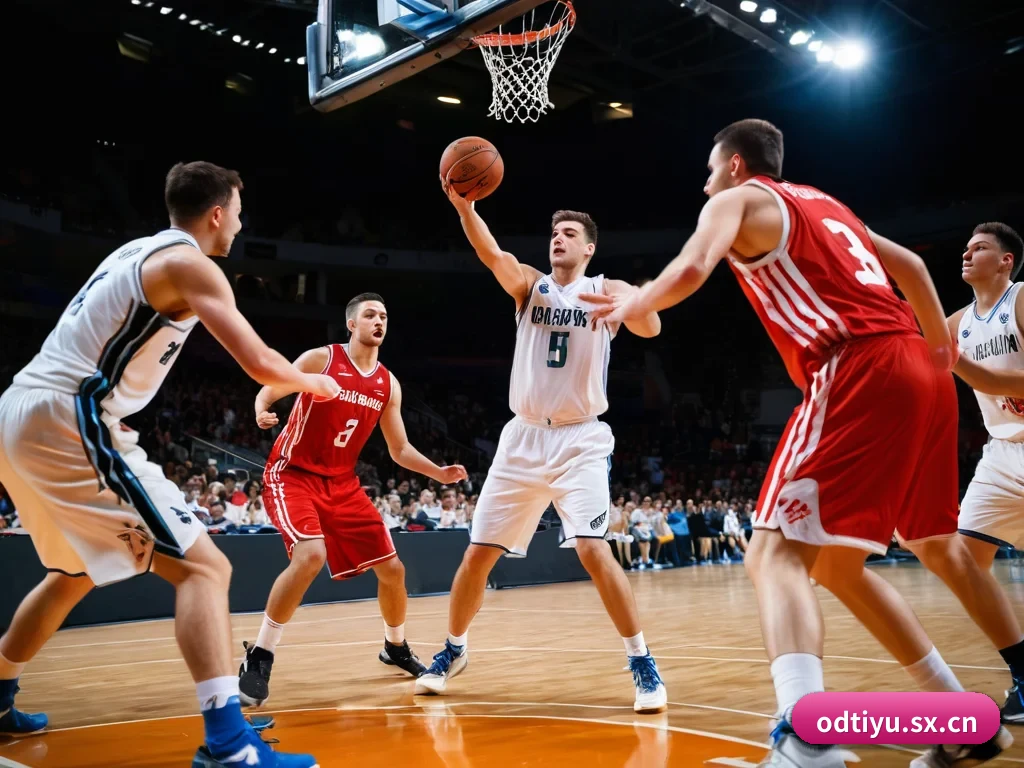 五大服务分区,信息按项目分类(OD)